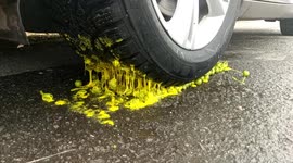 Crushing 500 Paintballs with Car