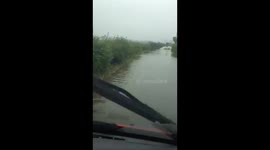 Impatient tractor driver