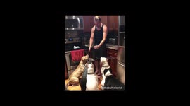 Dogs Are Confused by Magic Trick