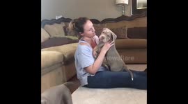She says she doesn’t want another dog
