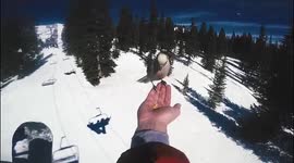 'I felt like a Disney princess!' US man feeds bird while travelling on ski lift at Colorado resort