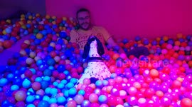 Ballin'! Dog and human have a blast at ball pit in UK