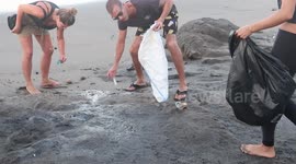 Low angle people picking up rubbish from beach in Bali
