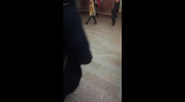 Beautiful morning in moscow's metro