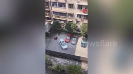 Chinese motorist fails to reverse into parking spot over a dozen times before giving up