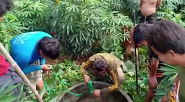 Dog bites rescuers after being saved from deep well in Thailand