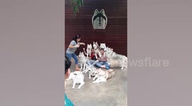 Tourists visit house which has been converted into a dog cafe in Thailand