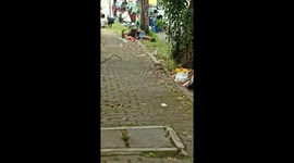 a father and son fell asleep on the sidewalk filled with dried leaf litter in the city of Padang