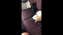 Play time