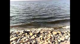 Windy Beautiful Day At Qarun Lake Water