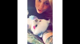 Chewy Pom and Doanut Good Morning Sleepy Faces Cuddle Sesh