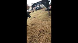 Sound On: Woman argues with angry cow
