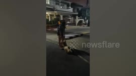 Stubborn Dog Refuses To Go Home... Has To Be Dragged