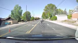 Woman frantically chases after pet dog that sprints across road in Colorado