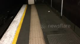 Mouse on Tube Platform