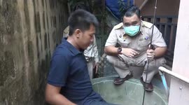 Dog rescued from 17ft-deep well in Thailand