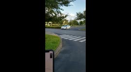 Florida man tests Tesla’s new Smart Summon feature in car park