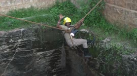 Two tiny 'peachicks' rescued from 50-foot-deep well in southern India