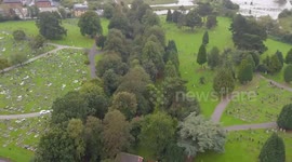 Man, 58, dies after being hit by falling tree at cemetery