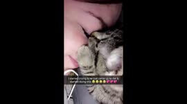 Cat Comforts Crying Girl