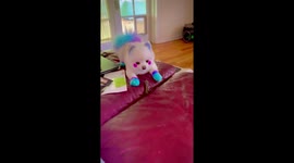 Get that Greenies dog treat by Chewy Pom