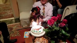 birthday with dog cake HAPPY BIRTHDAY