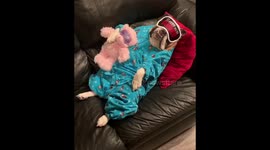 You know that its been a long week when even your teddy bear has a sleep mask.