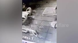 Boy, 4, survives 100ft horror fall from balcony