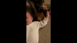 1 year old puppy snuggling with 3 week old baby