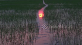 Sunset in a paddy field in Thailand.