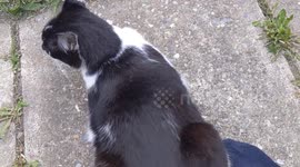 My Front Door paths a virtual lake  Great yarmouth UK