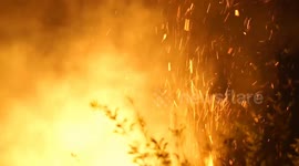 forest and land fires reoccur in Riau Province, Indonesia