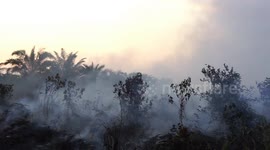 The extinction of approximately 70 hectares of peat land was carried out by means of extinction using a waterbombing helicopter
