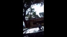 Monkey snatches bag filled with money and starts raining it down on people in north India