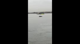 Humpback whale spotted swimming in the Thames has died