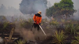 Firefighters tackle forest fires in Pekanbaru, Indonesia