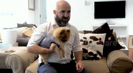 UK dog owner spends over £15,000 on clothing for his pampered pup