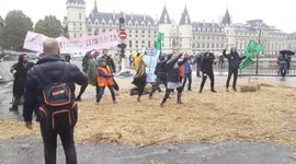 Activists take part in flashmob in Paris as Extinction Rebellion protests go international