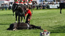Bronco bucking British army horse out of control