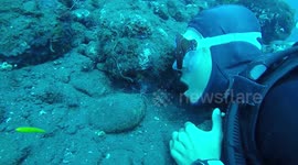 Scuba diver lets shrimp float into his mouth to 'clean his teeth'