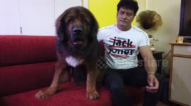 A Man from Southern India Claims to Be First Owner of a Rare Dog Breed.
