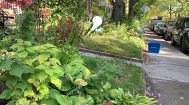 Dad and daughter stare in amazement at apparently possessed blade of grass.