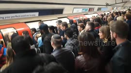 Commuter chaos! Londoner attempts to board Northern Line at Euston during morning rush-hour