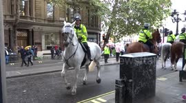Police horses get out of control in the rain at Extinction Rebellion climate change protest in Trafalgar Square