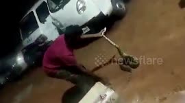 Rescuer faces mini scare as defiant python refuses to let go of his hand in southern India