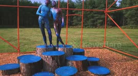 Ramblers amazed by stunning series of forest sculptures created by artist behind Tower of London poppies