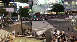 Overhead view of the Shibuya Crossing.