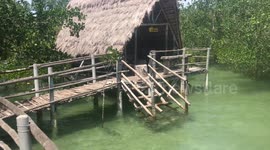 Suyac Island Mangrove Eco-Park