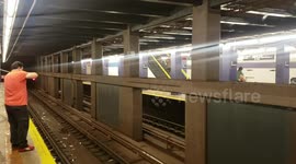 Buskers duet Bach piece from opposite sides of subway tracks in New York City