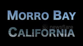 Spring Break Morro Bay